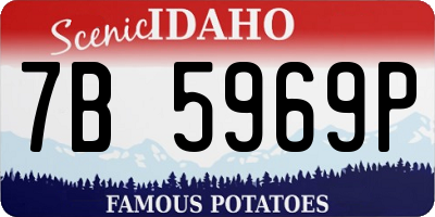 ID license plate 7B5969P