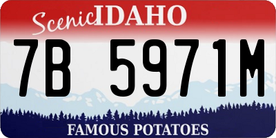 ID license plate 7B5971M