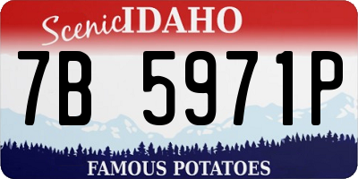 ID license plate 7B5971P
