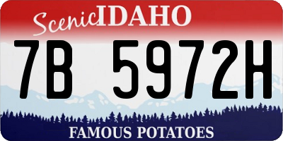 ID license plate 7B5972H