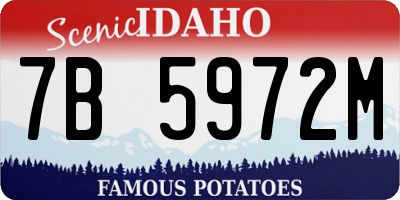 ID license plate 7B5972M