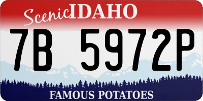 ID license plate 7B5972P