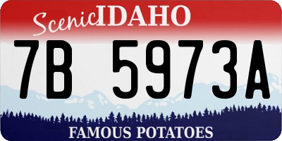 ID license plate 7B5973A