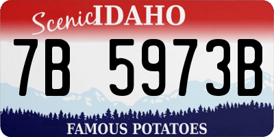ID license plate 7B5973B