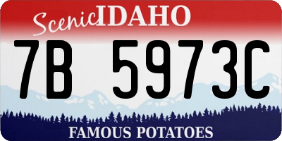 ID license plate 7B5973C