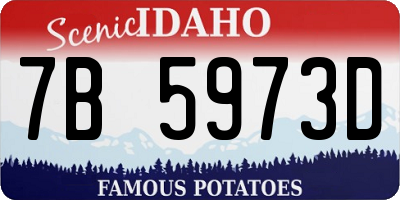 ID license plate 7B5973D