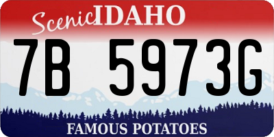 ID license plate 7B5973G