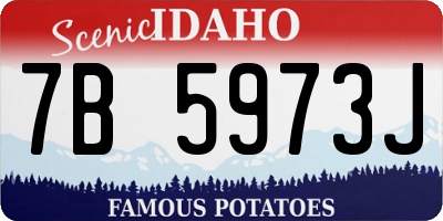 ID license plate 7B5973J