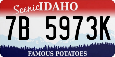 ID license plate 7B5973K
