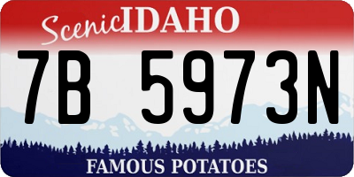 ID license plate 7B5973N