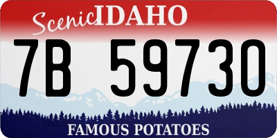 ID license plate 7B5973O