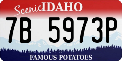 ID license plate 7B5973P