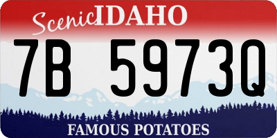 ID license plate 7B5973Q