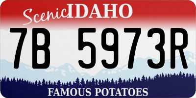 ID license plate 7B5973R