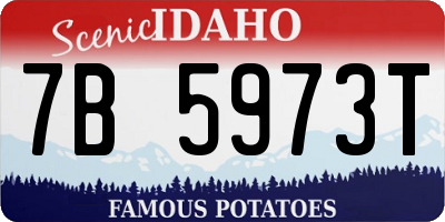 ID license plate 7B5973T