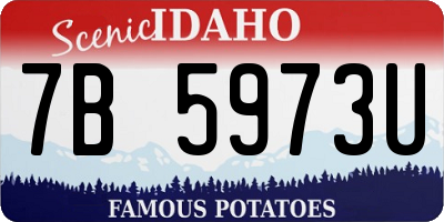 ID license plate 7B5973U