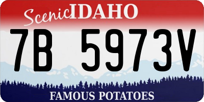 ID license plate 7B5973V