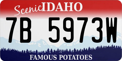 ID license plate 7B5973W