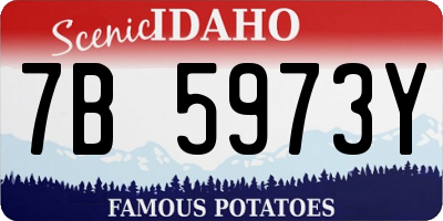 ID license plate 7B5973Y