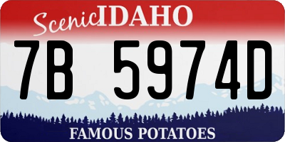 ID license plate 7B5974D