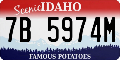 ID license plate 7B5974M