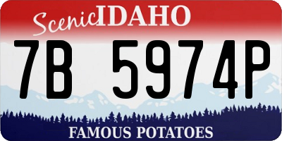 ID license plate 7B5974P
