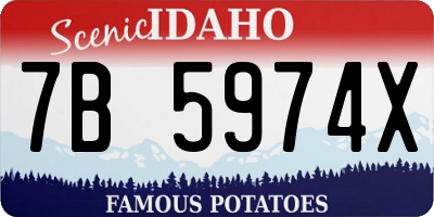 ID license plate 7B5974X