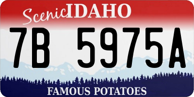 ID license plate 7B5975A