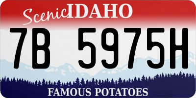 ID license plate 7B5975H
