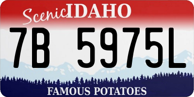 ID license plate 7B5975L