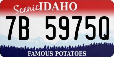 ID license plate 7B5975Q
