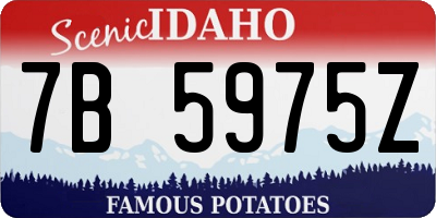 ID license plate 7B5975Z
