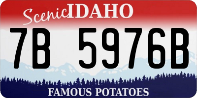 ID license plate 7B5976B
