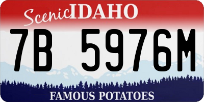 ID license plate 7B5976M