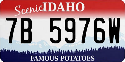 ID license plate 7B5976W