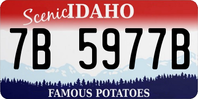 ID license plate 7B5977B