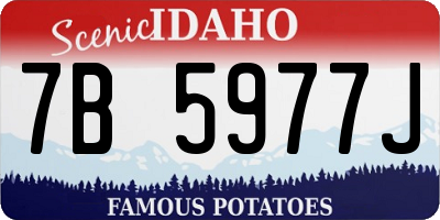 ID license plate 7B5977J