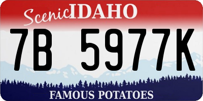 ID license plate 7B5977K