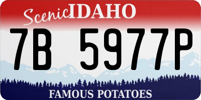 ID license plate 7B5977P