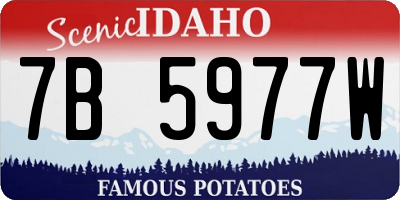 ID license plate 7B5977W