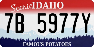 ID license plate 7B5977Y