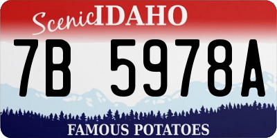 ID license plate 7B5978A