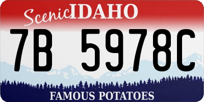 ID license plate 7B5978C