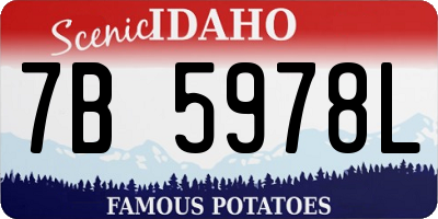 ID license plate 7B5978L