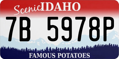 ID license plate 7B5978P