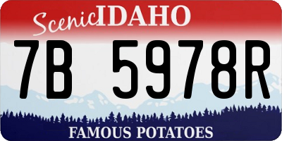 ID license plate 7B5978R