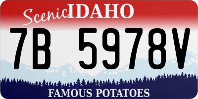 ID license plate 7B5978V