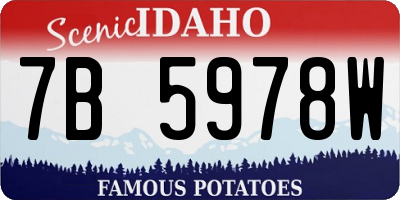 ID license plate 7B5978W