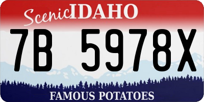 ID license plate 7B5978X