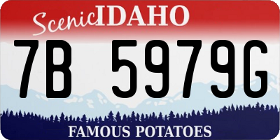 ID license plate 7B5979G